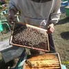  мед в Уфе и Республике Башкортостан